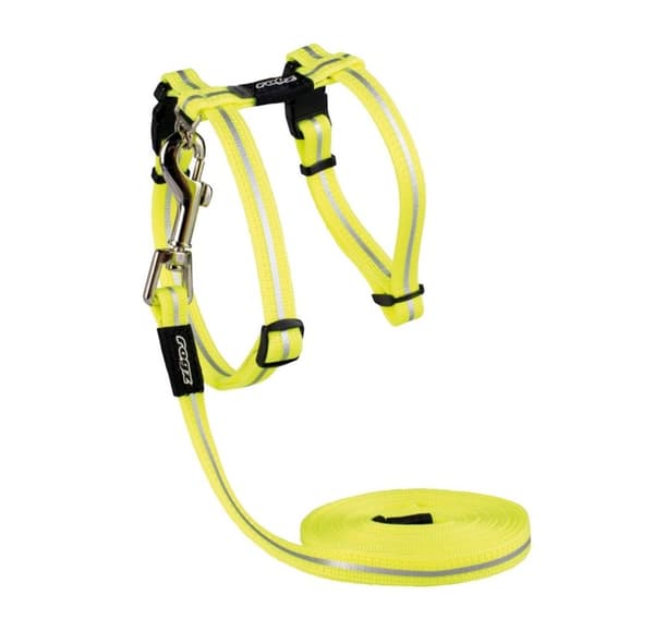 Kattesele med snor alleycat dayglo 24-40cm/1,8m, Rogz