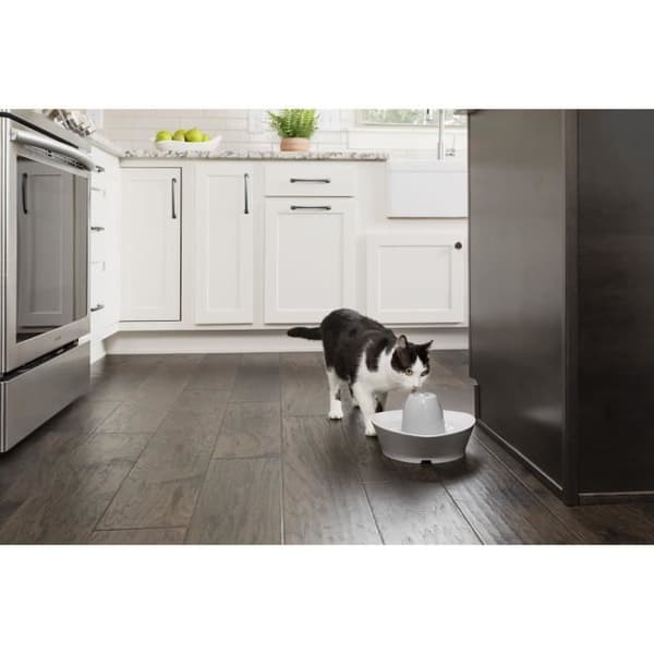 PetSafe StreamSide keraaminen lemmikkien juomalähde 1,8 l - ihanteellinen kissoille ja pienille koirille, hiljainen, vesi