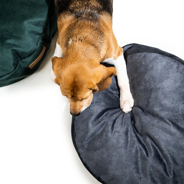 Coco komfortabel pude til kat eller hund, 2 størrelser, 6 farver