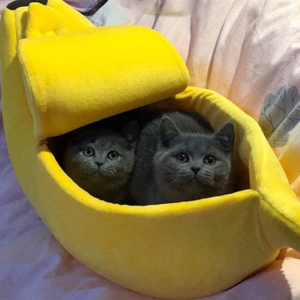 Bananformet kattekurv