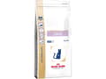 Pikkukuva 5 / 5: Royal Canin Calm, Adult, Kaikille roduille, Maissi, Siipikarja, Riisi, 2 kg, Antioksidantit sisältyvät