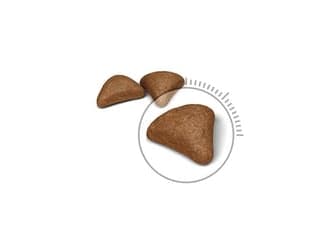 Royal Canin Hairball Care, Voksen, 2 kg