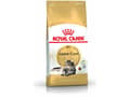 Pikkukuva 2 / 3: Royal Canin Maine Coon, Adult, Maine Coon, 4 kg, Antioksidantit sisältyvät
