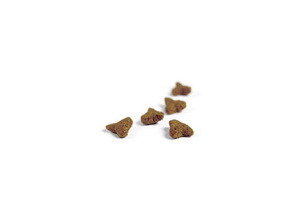 Josera SensiCat, Voksen, Alle hunderaser, Mais, Lever, Fjærfe, Ris, 10 kg, Fri for smakstilsetninger