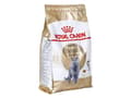 Miniatyrbild 2 av 4: Royal Canin British Shorthair Adult, Adult (djur), 4 kg, Antioxidanter inkluderet