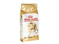 Miniatyrbild 3 av 5: Royal Canin Siamese, Adult, Siamese, Poultry, 2 kg, Antioxidanter ingår