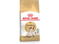 Miniatyrbild 5 av 5: Royal Canin Siamese, Adult, Siamese, Poultry, 2 kg, Antioxidanter ingår
