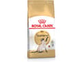 Miniatyrbild 1 av 5: Royal Canin Siamese, Adult, Siamese, Poultry, 2 kg, Antioxidanter ingår