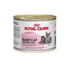 Royal Canin BABYCAT INSTINCTIVE, 195 g, Kattunge, Burk som är enkel att öppna, 10,5 g, 5,5 g, 1%