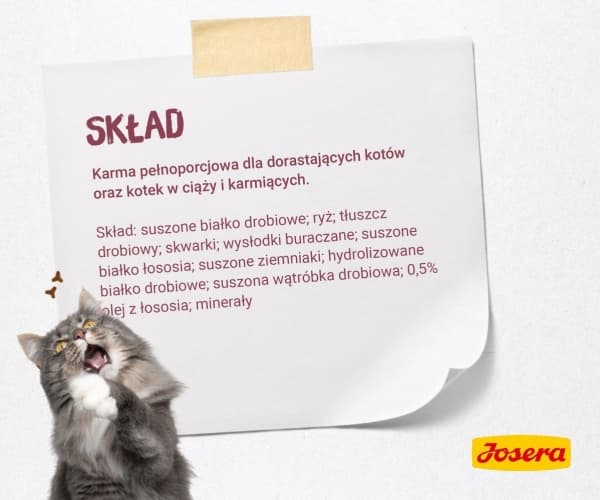 Josera Kitten, Killing, Enhver race, 10 kg