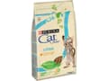 Miniatyrbilde 1 av 2: Purina Cat Chow Kitten, Kattunge, Kylling, 1,5 kg, Vitamin B,Vitamin E, Generelle helsefordeler, 40%