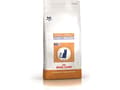 Pikkukuva 2 / 4: Royal Canin Senior Consult Stage 1 Balance, Senior, 3,5 kg, Antioksidantit sisältyvät