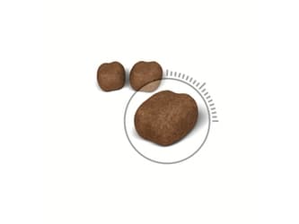 Royal Canin Oral Care, Adult (animal), Ris, Grønnsaker, 8 kg, Antioksidanter medfølger