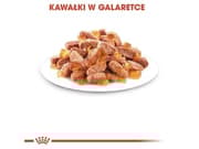 Royal Canin Kitten Jelly, Chicken, 12x85 g