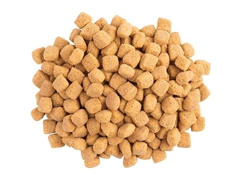 Purina VETERINARY DIETS Feline OM Obesity Management, Voksen, 1,5 kg