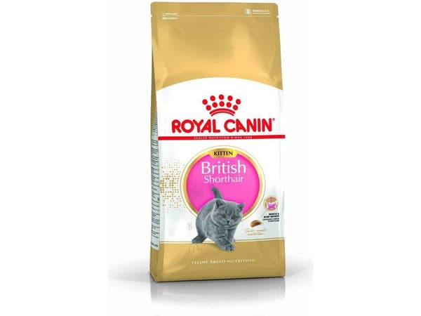 ROYAL CANIN brittiläinen lyhytkarvainen kissanpentu - kuivaruoka kissanpennuille - 400g