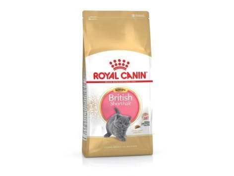ROYAL CANIN brittiläinen lyhytkarvainen kissanpentu - kuivaruoka kissanpennuille - 400g