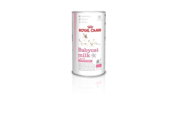 Royal Canin Babycat Milk, Kissanpentu, 300 g