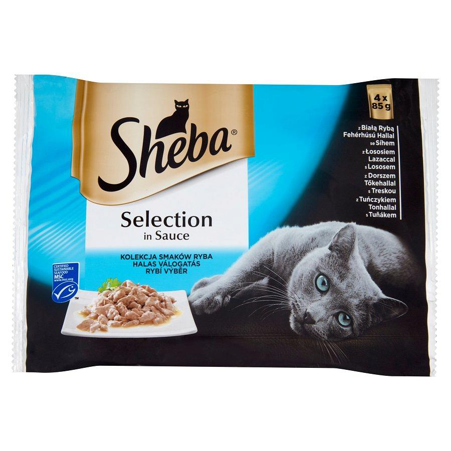 sheba fish