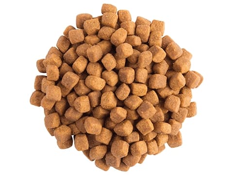 Purina VETERINARY DIETS Feline DM, Aikuinen, Siipikarja, 1,5 kg