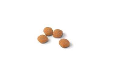 Royal Canin Protein Exigent, Adult, Vegetable, 2 kg, Laktosfri, innehåller antioxidanter