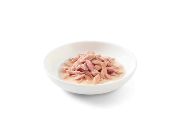 Schesir SCHESIR KOT 6x50g MULTIPAK TUŃCZYK SOS