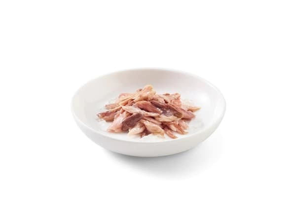 SCHESIR in jelly Tuna with beef - våd kattefoder - 6 x 50 g