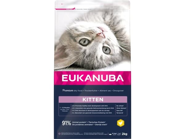 Eukanuba Euk Cat Kitten 2 kg