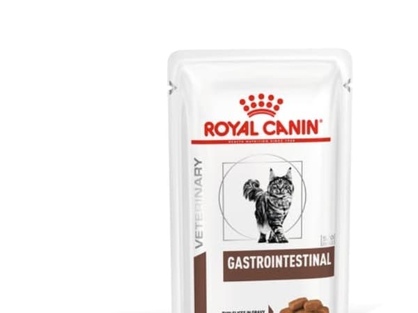 Royal Canin Royal Canin VHN Cat Gastro Intestinal 12 pcs x 85g