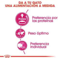 Pikkukuva 4 / 11: Royal Canin Protein Exigent kissojen kuivaruoka Adult Vegetable 400 g