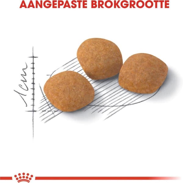 Royal Canin Protein Exigent kissojen kuivaruoka Adult Vegetable 400 g