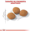 Pikkukuva 6 / 11: Royal Canin Protein Exigent kissojen kuivaruoka Adult Vegetable 400 g