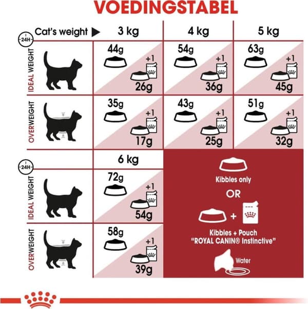 Royal Canin Regular Fit 32 katter torrfoder 400 g vuxen majs, fjäderfä
