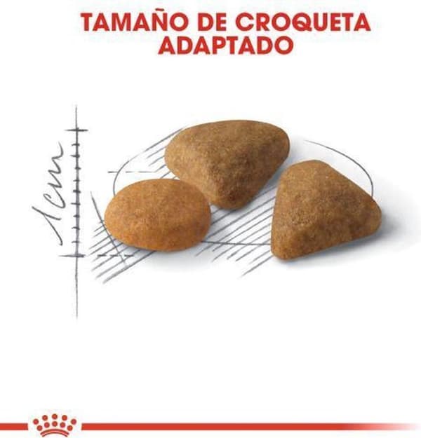 Royal Canin Savor Kraftig tør kattefoder Majs, Fjerkræ, Ris, Grøntsager 0,4 kg