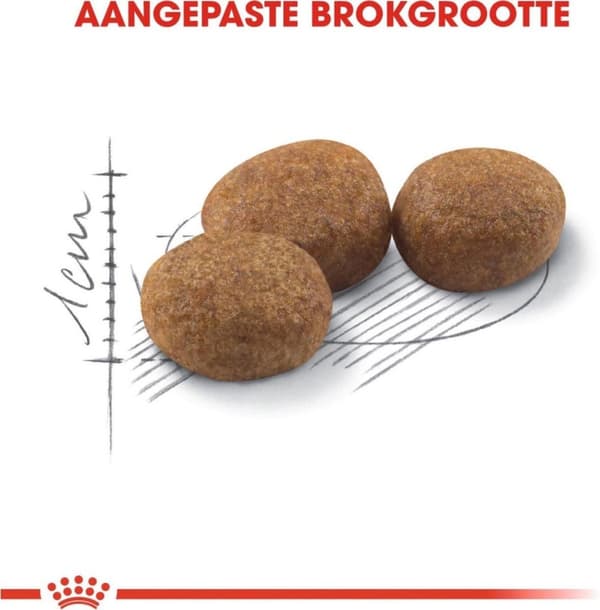 Royal Canin Steriliseret 37 katte tørfoder 400 g Voksen fjerkræ