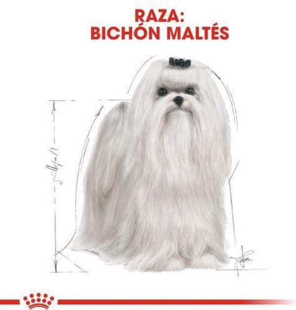 Royal Canin Malteser Voksen Majs, Fjerkræ 0,5 kg