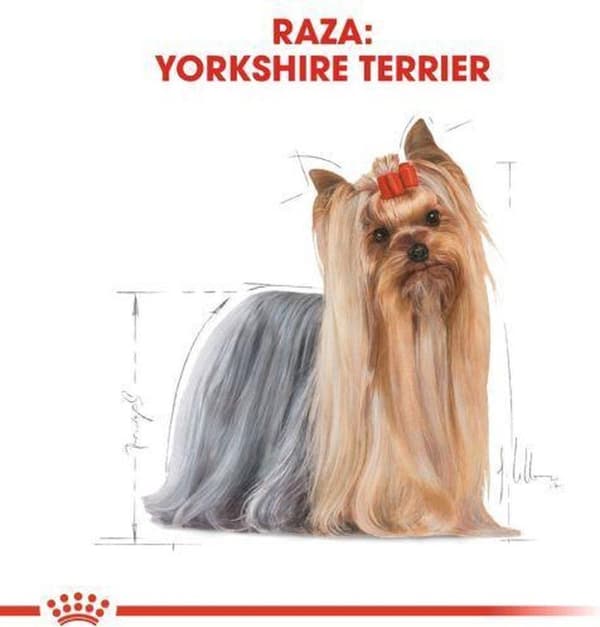 ROYAL CANIN Yorkshirenterrieri 0,5kg