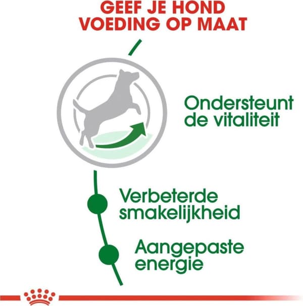 ROYAL CANIN Mini Moden 0,8kg