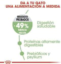 Miniatyrbild 4 av 11: Royal Canin Digestive Care katter torrfoder 400 g vuxen fisk, fjäderfä, ris, grönsaker
