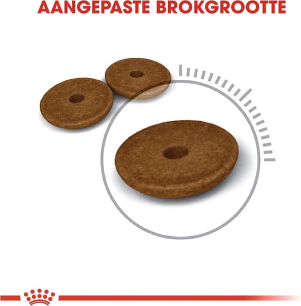 Royal Canin Digestive Care katter torrfoder 400 g vuxen fisk, fjäderfä, ris, grönsaker