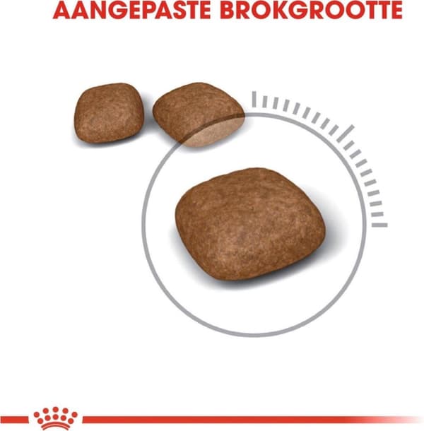 Royal Canin Urinary Care tørfoder til katte 0,4 kg