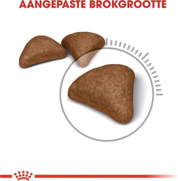 Royal Canin Hairball Care torrfoder för katter 0,4kg
