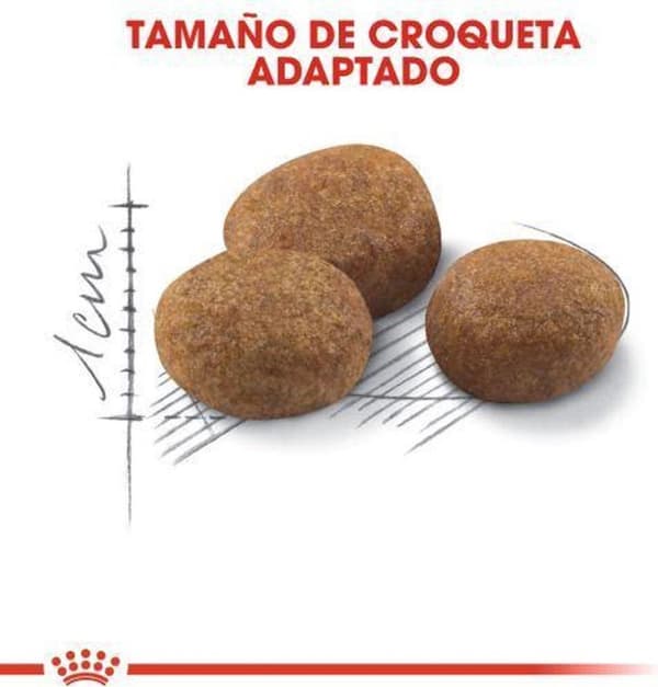 Royal Canin Sterilized 7+ kissojen kuivaruoka Adult Poultry 400 g