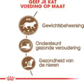 Miniatyrbild 3 av 8: Royal Canin Senior Aging Sterilized 12+ katter torrfoder 400 g majs, fjäderfä, grönsaker