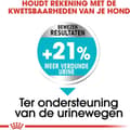 Pikkukuva 3 / 10: ROYAL CANIN Mini Urinary Care CCN - kuiva koiranruoka - 1kg