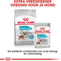 Pikkukuva 5 / 10: ROYAL CANIN Mini Urinary Care CCN - kuiva koiranruoka - 1kg