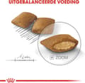 Miniatyrbillede 4 af 9: ROYAL CANIN Mini Exigent - tørfoder til kræsne hunde - 1 kg