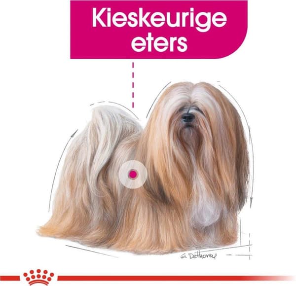ROYAL CANIN Mini Exigent - tørfoder til kræsne hunde - 1 kg