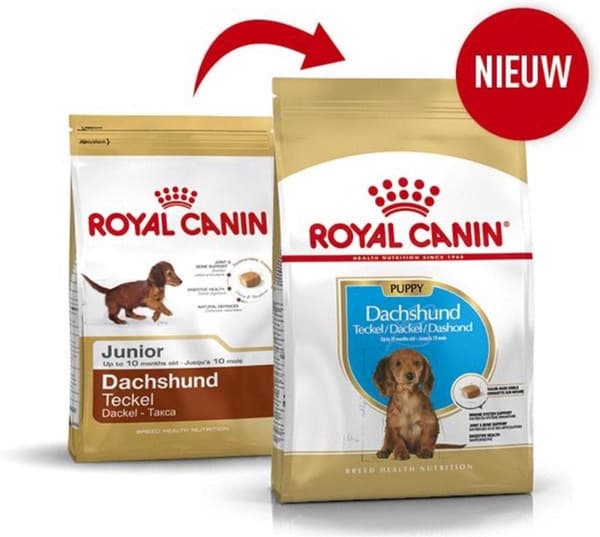 Ruoka Royal Canin SHN Rotu mäyräkoira Jun 1,5 kg