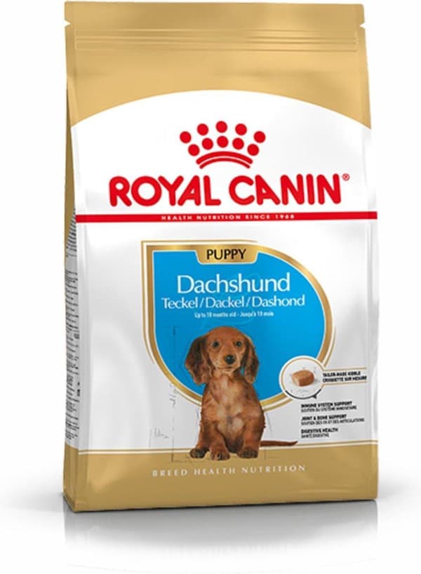 Ruoka Royal Canin SHN Rotu mäyräkoira Jun 1,5 kg